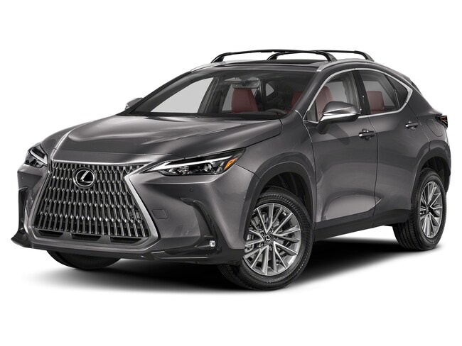 2025 LEXUS NX 350 Luxury