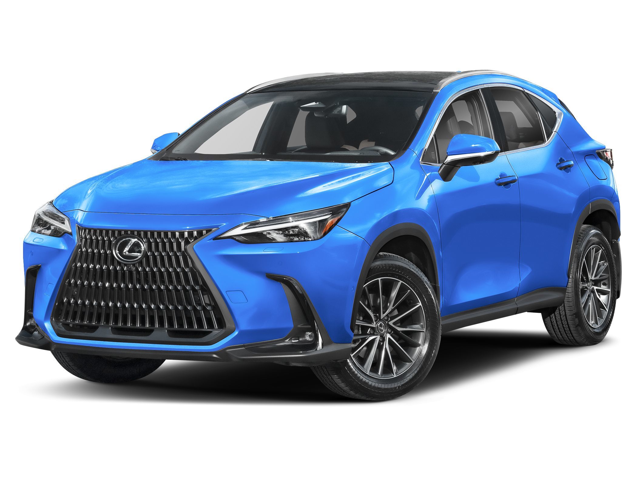 2025 Lexus NX Hybrid 350h's photo