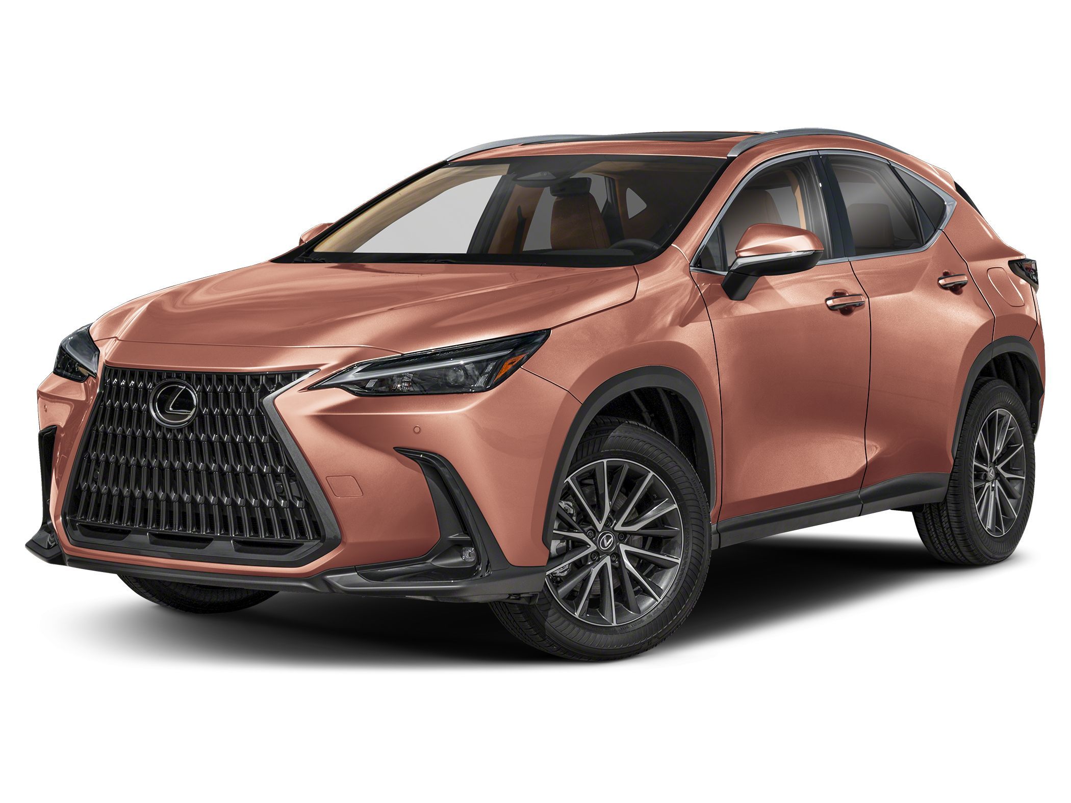 2026 Lexus NX 350's photo