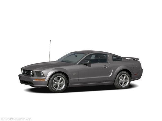 Ford Mustang's photo