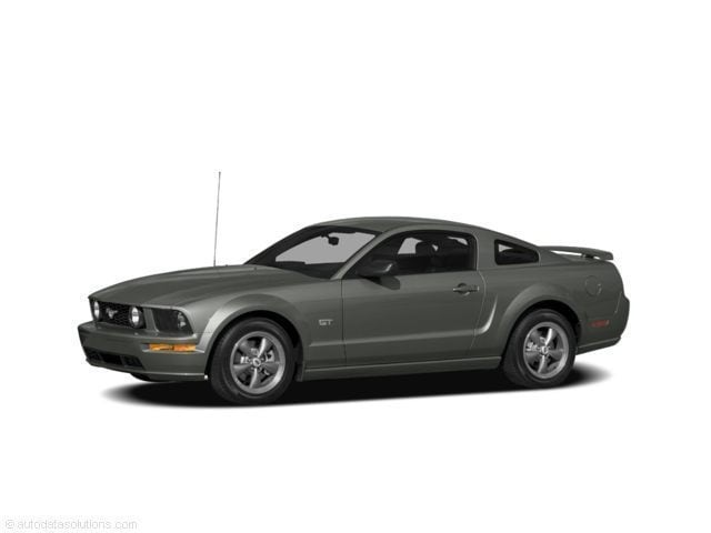2008 Ford Mustang's photo