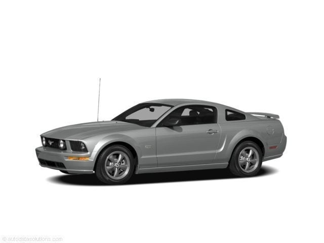2008 Ford Mustang Deluxe's photo