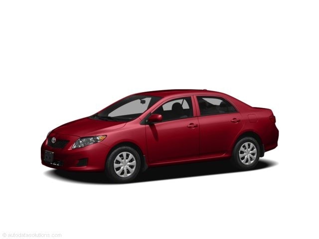 Toyota Corolla's photo