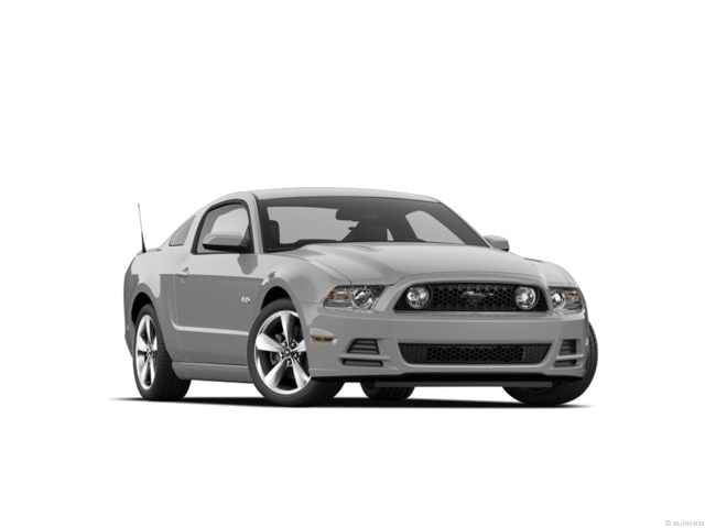 Ford Mustang's photo