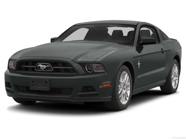 Ford Mustang's photo