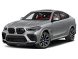  BMW X6 M