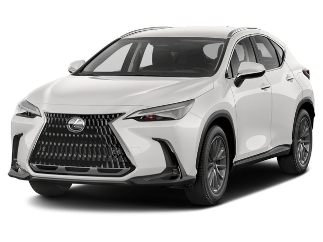 2022 Lexus NX 250's photo