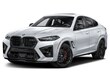  BMW X6 M