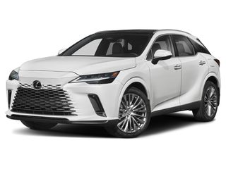 2024 Lexus RX 350's photo