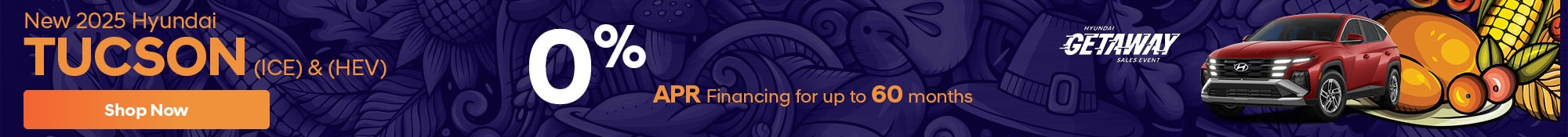 Exceptional November Offers - View Specials