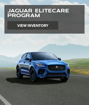 Homepage-Elitecare-Button.jpg