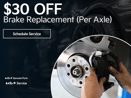 Brake Pad and Rotor Special