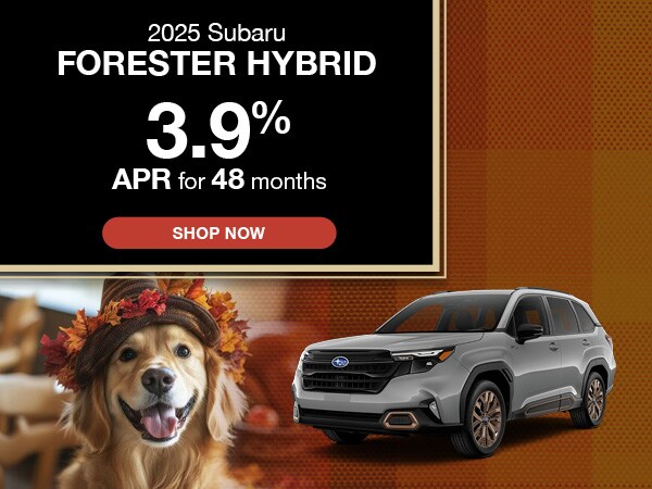 2025-11-superiorsubaruofhoustonsoa-A-24721556-ForesterHybrid-SL_M.jpg