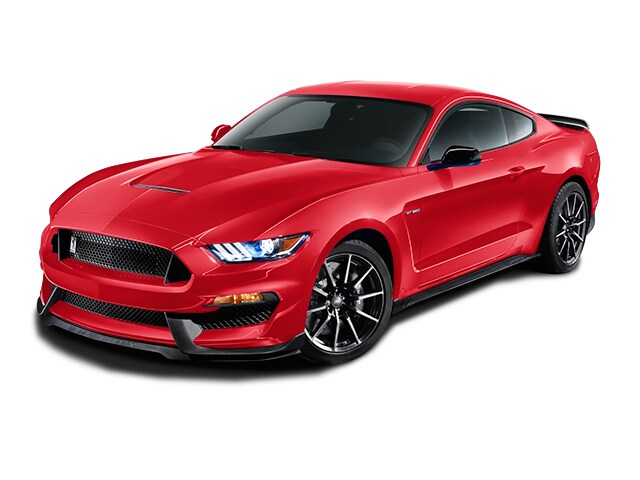 Ford Mustang Fastback Shelby GT350