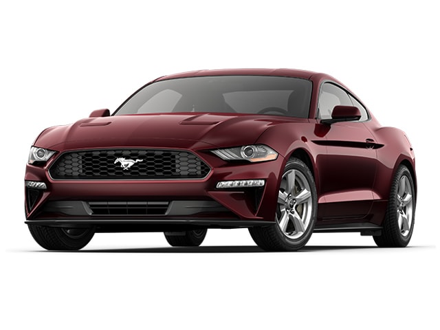 2018 Ford Mustang EcoBoost's photo