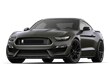 Used 2018 Ford Shelby GT350  Coupe