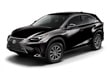 LEXUS NX 300