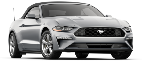 Mustang Mustang