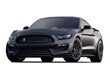Used 2019 Ford Shelby GT350 Shelby GT350R Coupe