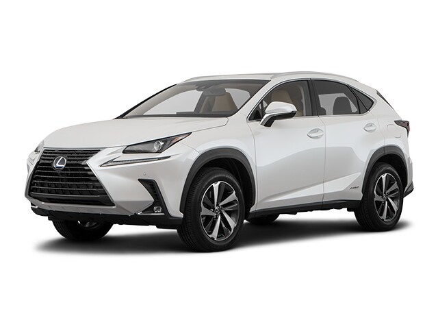 2019 Lexus NX 300h Luxury photo 2
