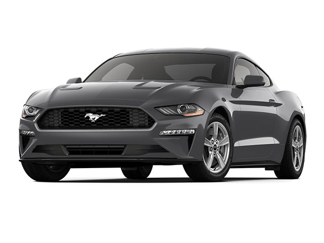 2021 Ford Mustang EcoBoost's photo
