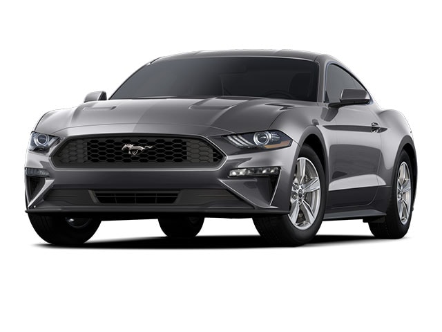 2022 Ford Mustang EcoBoost's photo