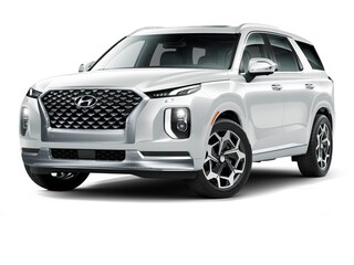 New 2022 Hyundai Palisade Calligraphy SUV for sale in Del Rio, Texas