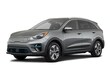  Kia Niro EV