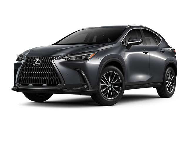 2022 Lexus NX 250's photo