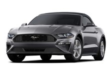 2023 Ford Mustang  -
                Tampa, FL