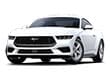 Used 2024 Ford Mustang ECO