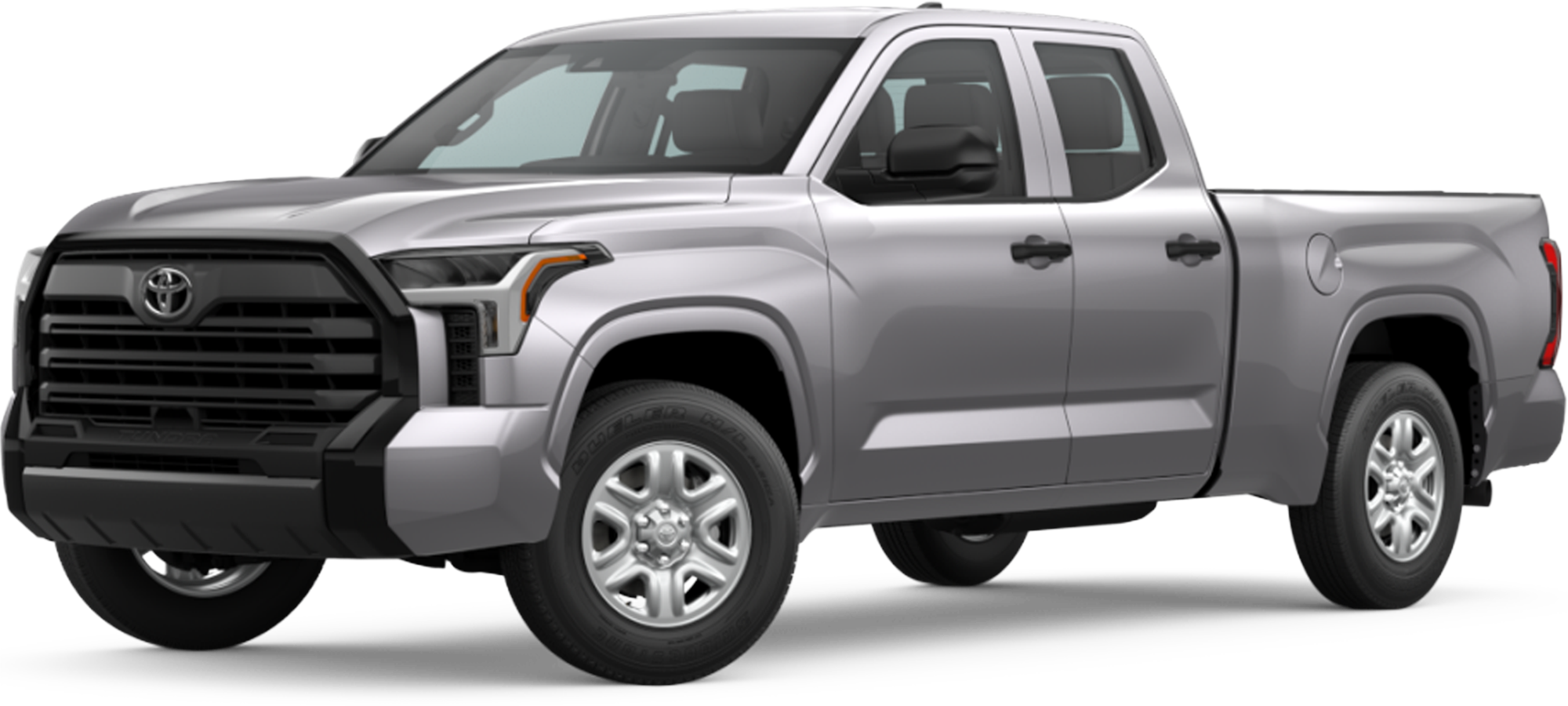 Arctische Toendra Vos