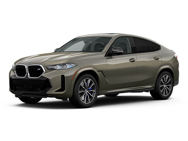 2025 BMW X6 M60i's photo