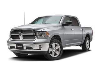 2016 Ram Bighorn Pickup 