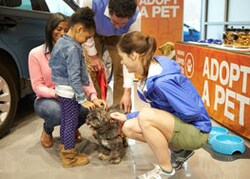 Free Plush for Pooches! Free Plush for Pooches!