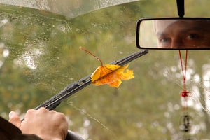 Ford rain sensing wipers how do they work #7