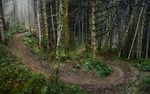 A muddy offroad trail