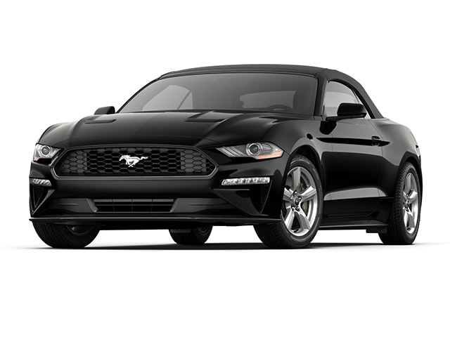 used 2019 Ford Mustang car, priced at $17,890